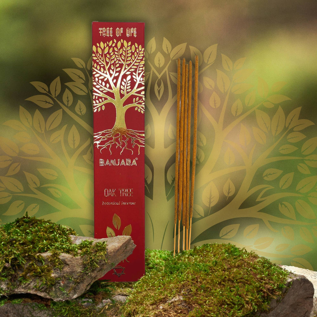Banjara - Eiche - Baum
