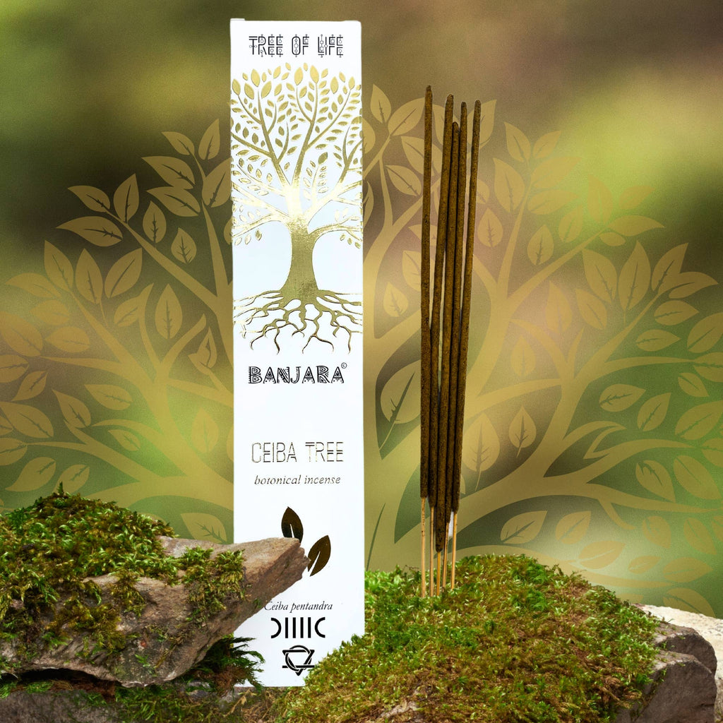 Banjara - Ceiba-Baum