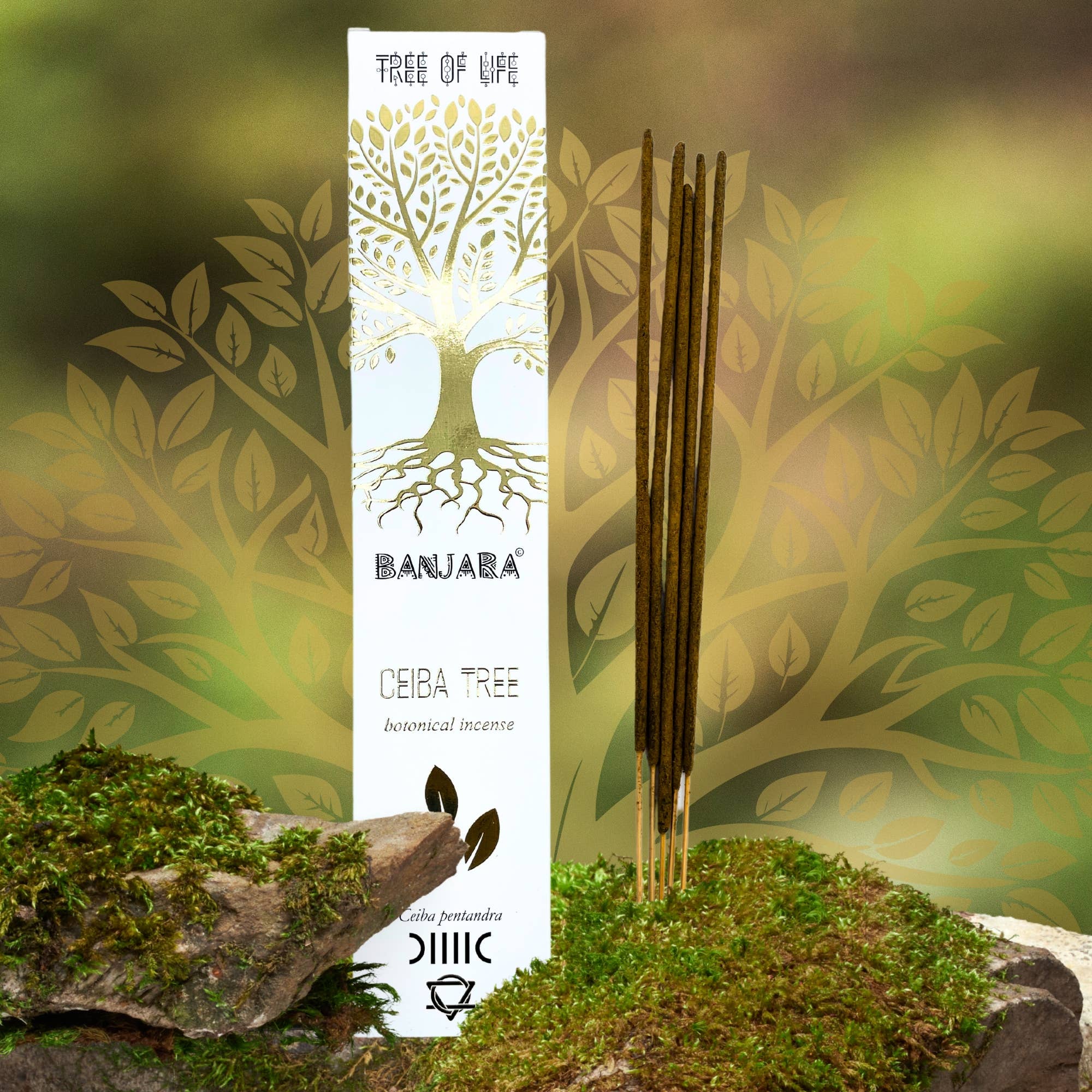 Banjara - Ceiba-Baum